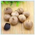 Transparent Canned Packed Aged Black Garlic Extract Powder
